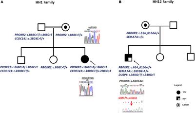 Oligogenic Inheritance Underlying Incomplete Penetrance of PROKR2 Mutations in Hypogonadotropic Hypogonadism